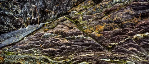 Tim Greenway's exhibit “Mackworth Island Transformed: Rocks Reimagined” is now on display
