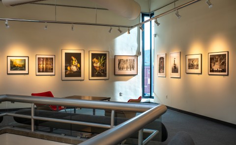 Photos are displayed against a white art gallery wall 