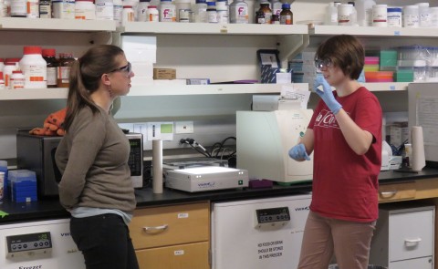 Eva Rose Balog works with student Laura Marvin in her lab on UNE’s Biddeford Campus in 2017.