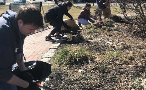Students cleaning park