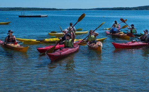 Several students paddle individual kayaks