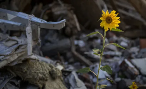 A sunflower blooms against a background of metal waste
