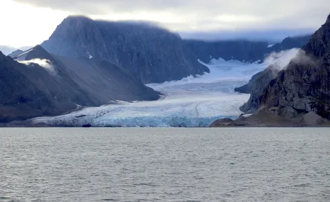 A glacier meets the ocean in Greenland