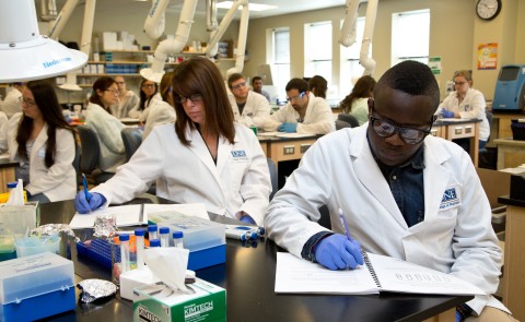 Students in UNE's College of Pharmacy