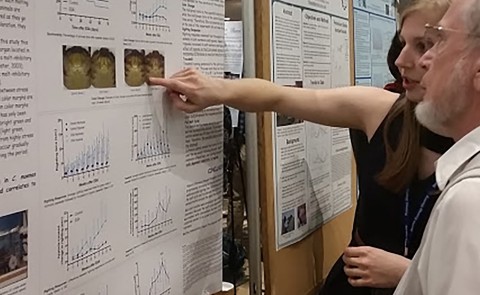 Gwen Pelletier presents her research