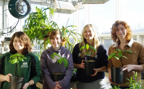 UNE Department of Environmental Studies alumni Sarah Fleishmann, Kati Hein, Christina Barton and Kat Santarpio