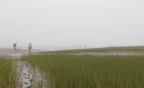 Early College students in the Coastal Marine program get their hands (and feet) dirty while studying the mud flats