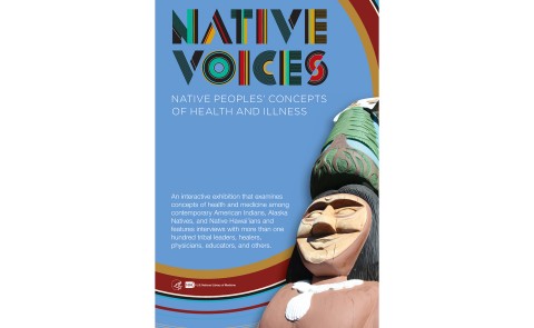 Native Voices poster image