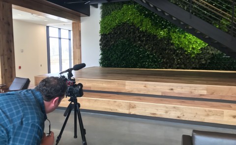 NEWS CENTER Maine videographer frames shot of living green wall