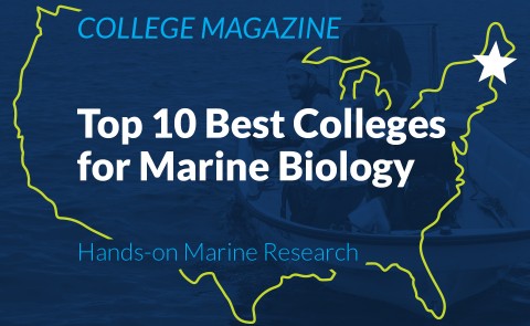 College Magazine lists UNE in top 10 for best marine biology programs