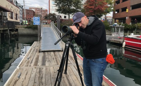 Noah Perlut looks for gulls along the waterfront in Portland