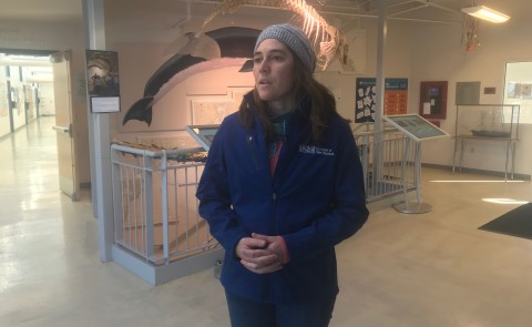 Carrie Byron recently discussed the potential impacts of Japan returning to commercial whale hunting with WCSH