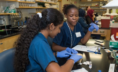 30 high school students attended UNE's inaugural Health Career's Exploration Summer Camp 