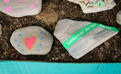 Painted rocks are set in an intergenerational garden set up by two UNE Social Work students