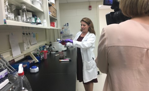 Meghan May tests a makeup brush for bacteria