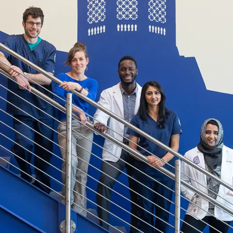 Five U N E health professions student pose together on a staircase