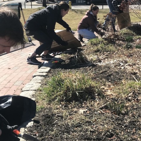 Students cleaning park