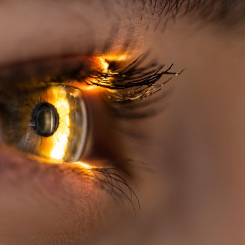 Image of an eye, illuminated by sunlight