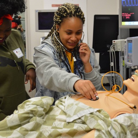 Two students practice using a stethoscope on a patient simulator mannequin