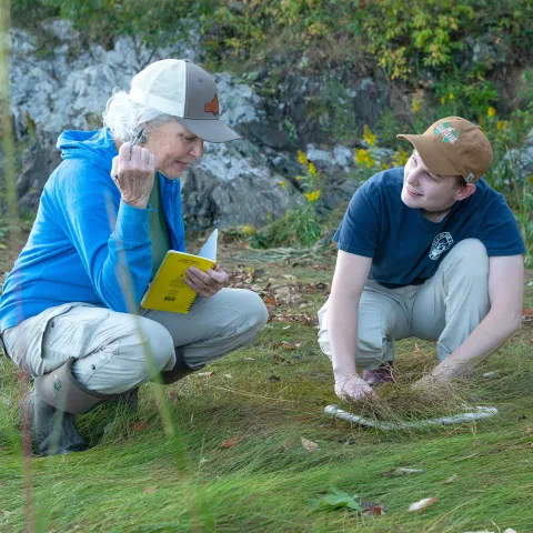 U N E faculty member and researcher Pam Morgan and Robyn Rollo crouch down to survey a section of the marsh for invertibretes 