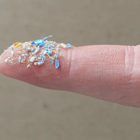 Photo showing a human finger holding small plastic fragments