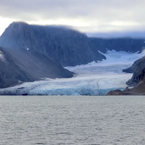 A glacier meets the ocean in Greenland