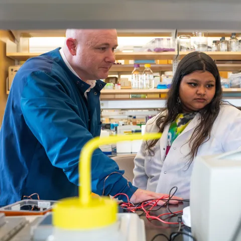 Researchers examine data in the Portland Laboratory for Biotechnology and Health Sciences