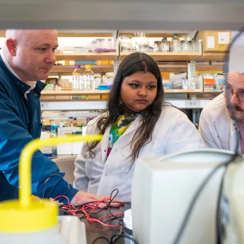 Researchers examine data in the Portland Laboratory for Biotechnology and Health Sciences