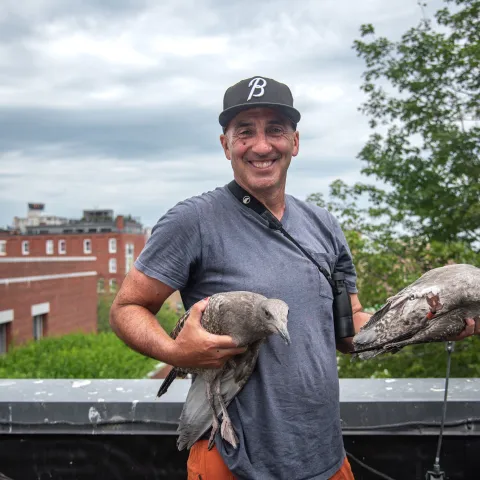 Portrait of Noah Perlut holding seagulls on a roof in Portland