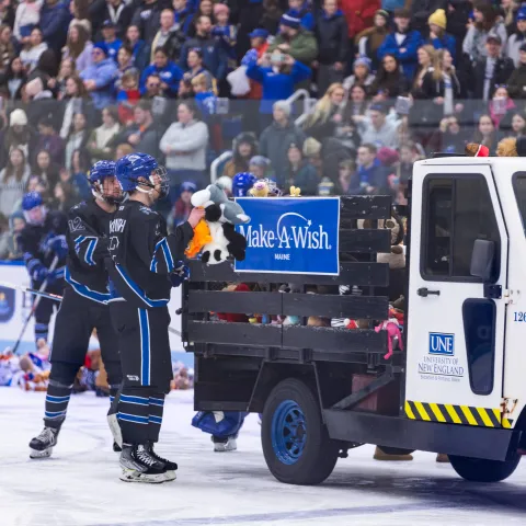 UNE men's hockey players load teddy bears onto a truck bed during the annual Teddy Bear Toss