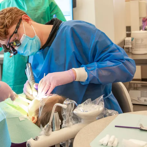 A UNE dental student performs a cleaning for a local schoolchild 