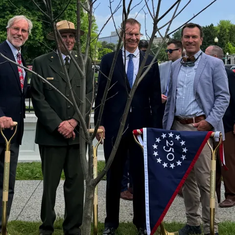 UNE researcher's chestnut trees planted at President’s Park in conservation milestone