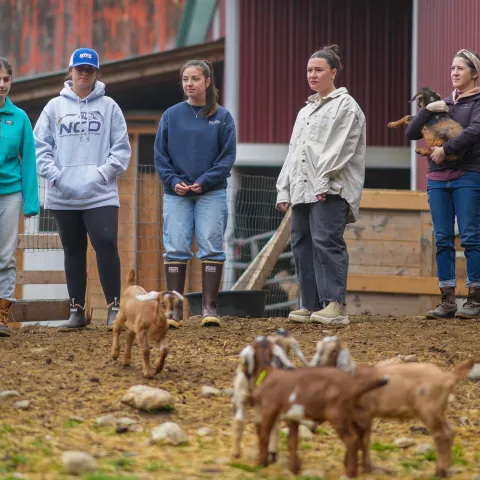  UNE nutrition students get inside look at intentional, caring work at sustainable dairy farm