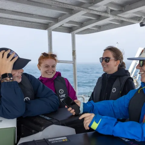 UNE researcher fills gap in Gulf of Maine harbor porpoise data