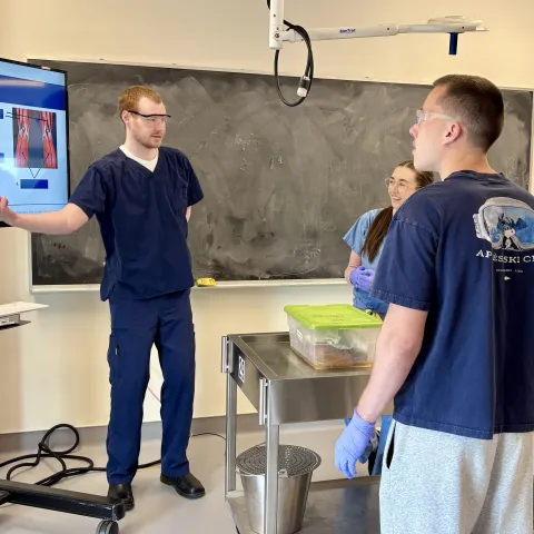 UNE offers high schoolers insights, encouragement into STEM fields