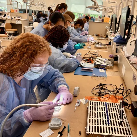 UNE mentors Maine high school students at annual Health Careers Exploration Camp