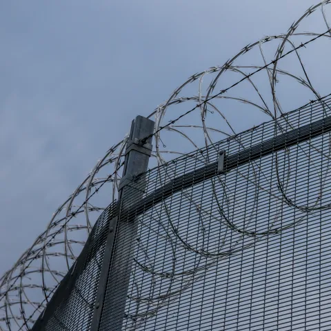 Barbed wire fencing