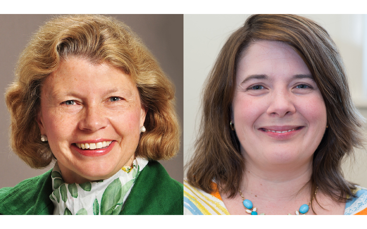 UNE experts weigh in on possibility of Lyme disease vaccine