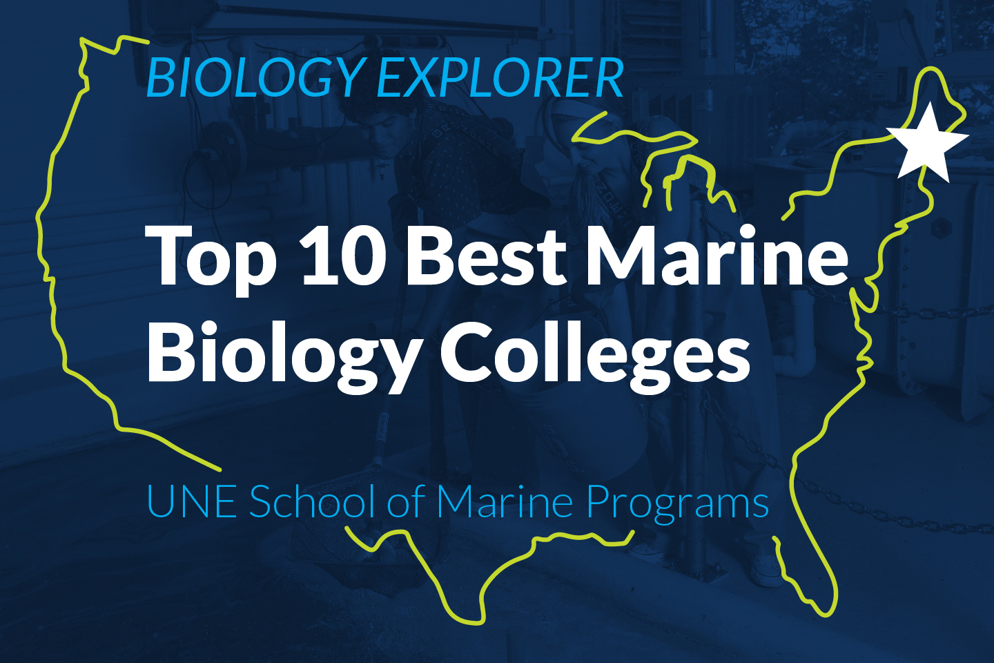 Une Ranked Among Top Colleges And Universities For Marine Science By Une Ranked Among Top Colleges And Universities For Marine Science By