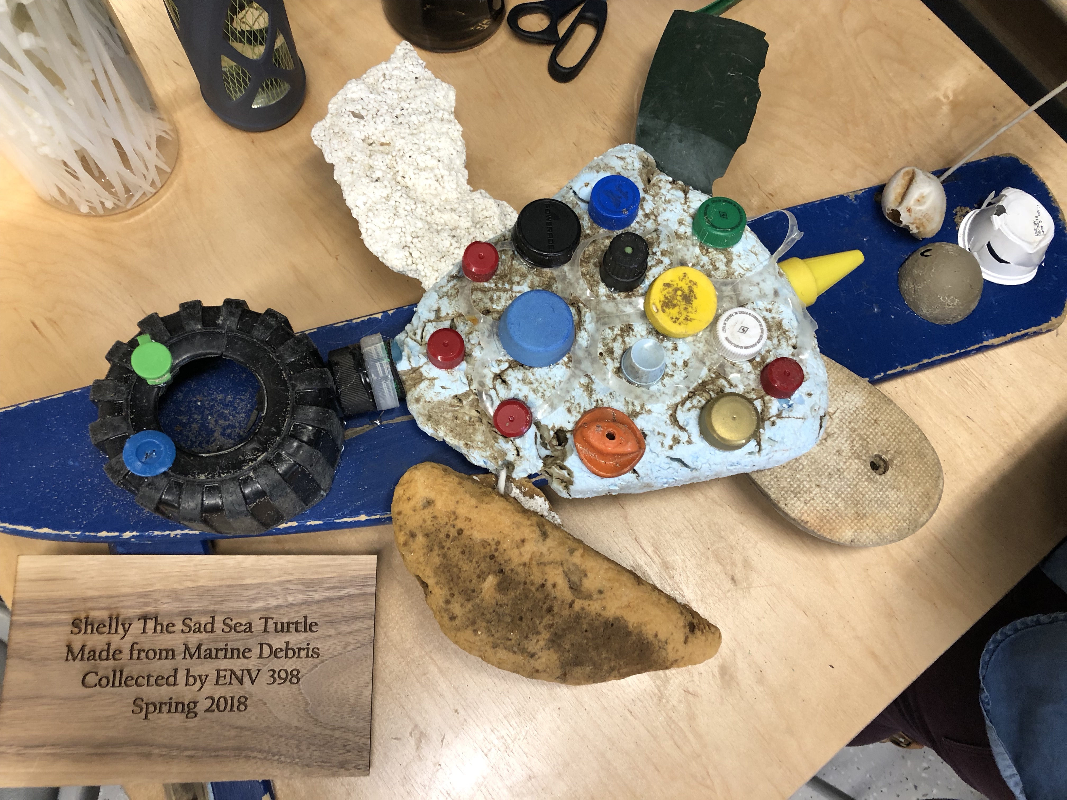 Marine debris project by UNE Environmental Studies students featured in ...