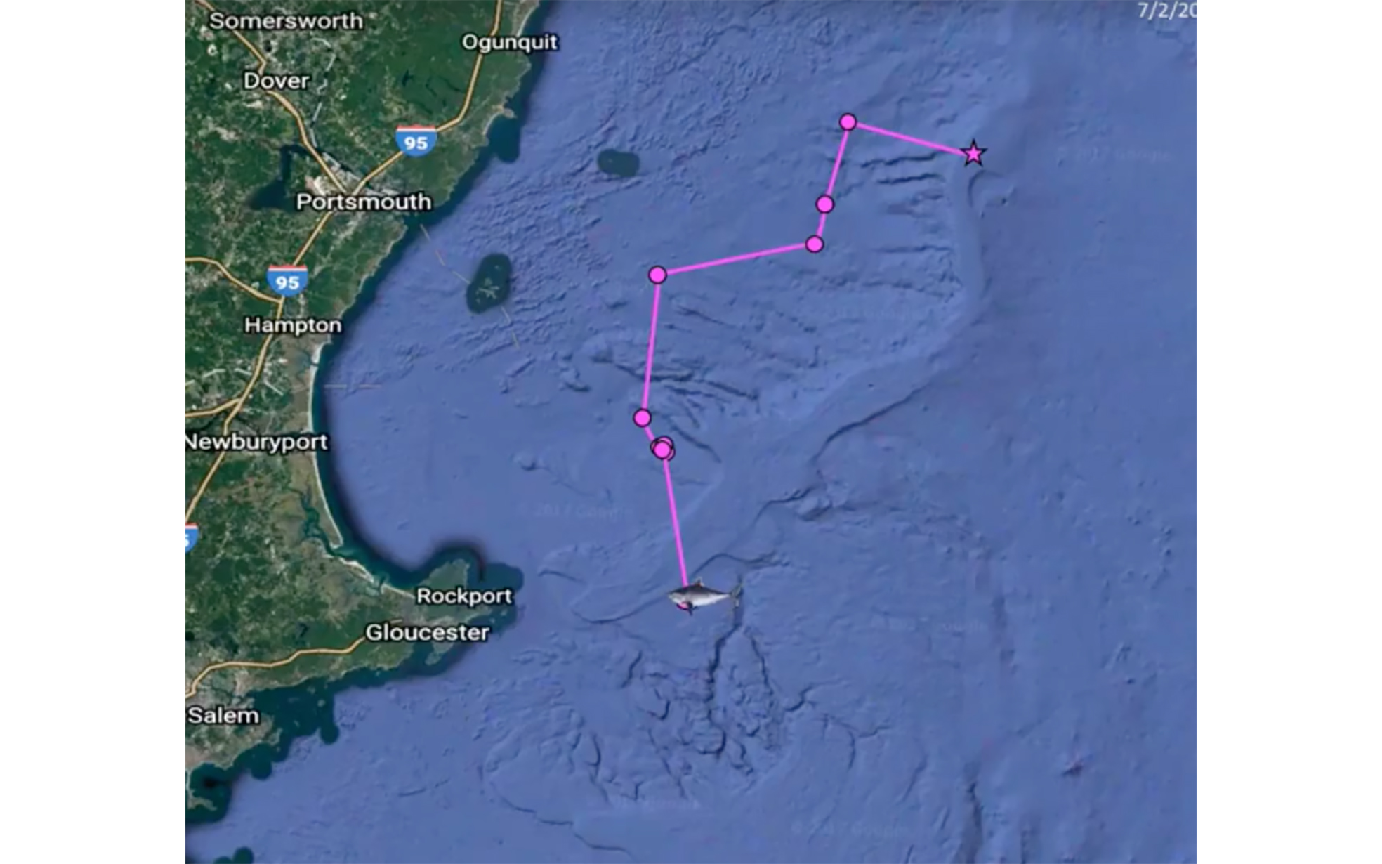 UNE shark tracking research featured in ‘Portland Press Herald’